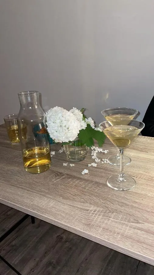 Przytulny apartament na Podgórzu Kraków